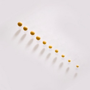 Re- Panificación Sonora