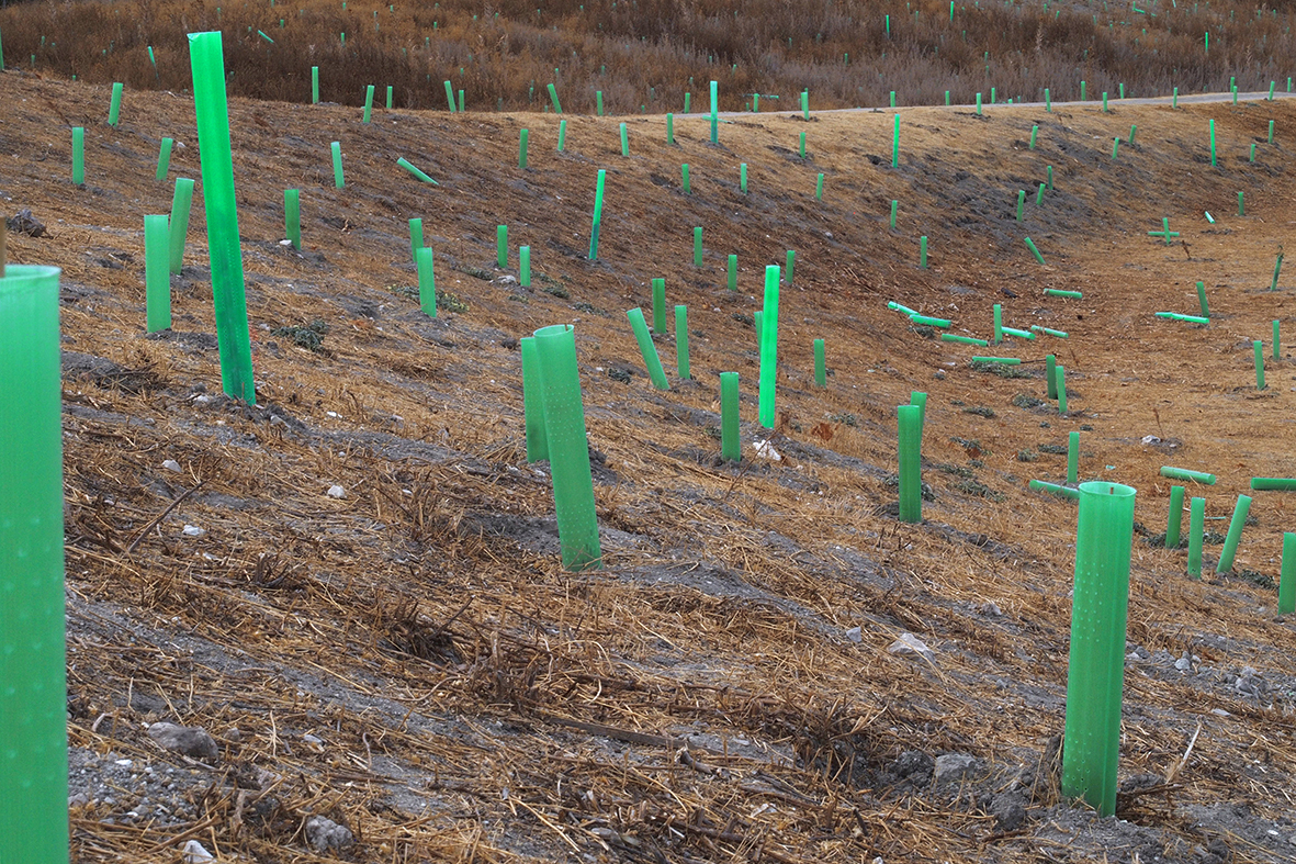 Madrid es hoy más verde y sostenible