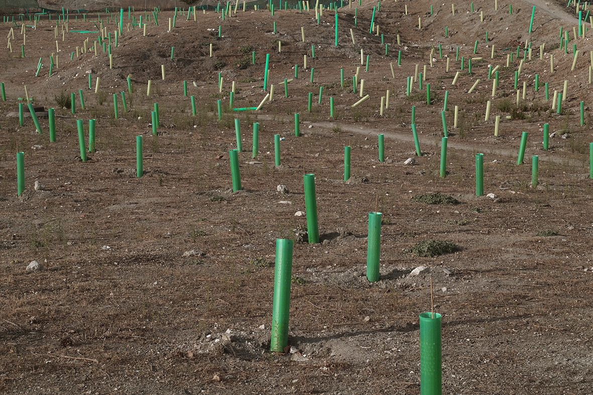 Madrid es hoy más verde y sostenible